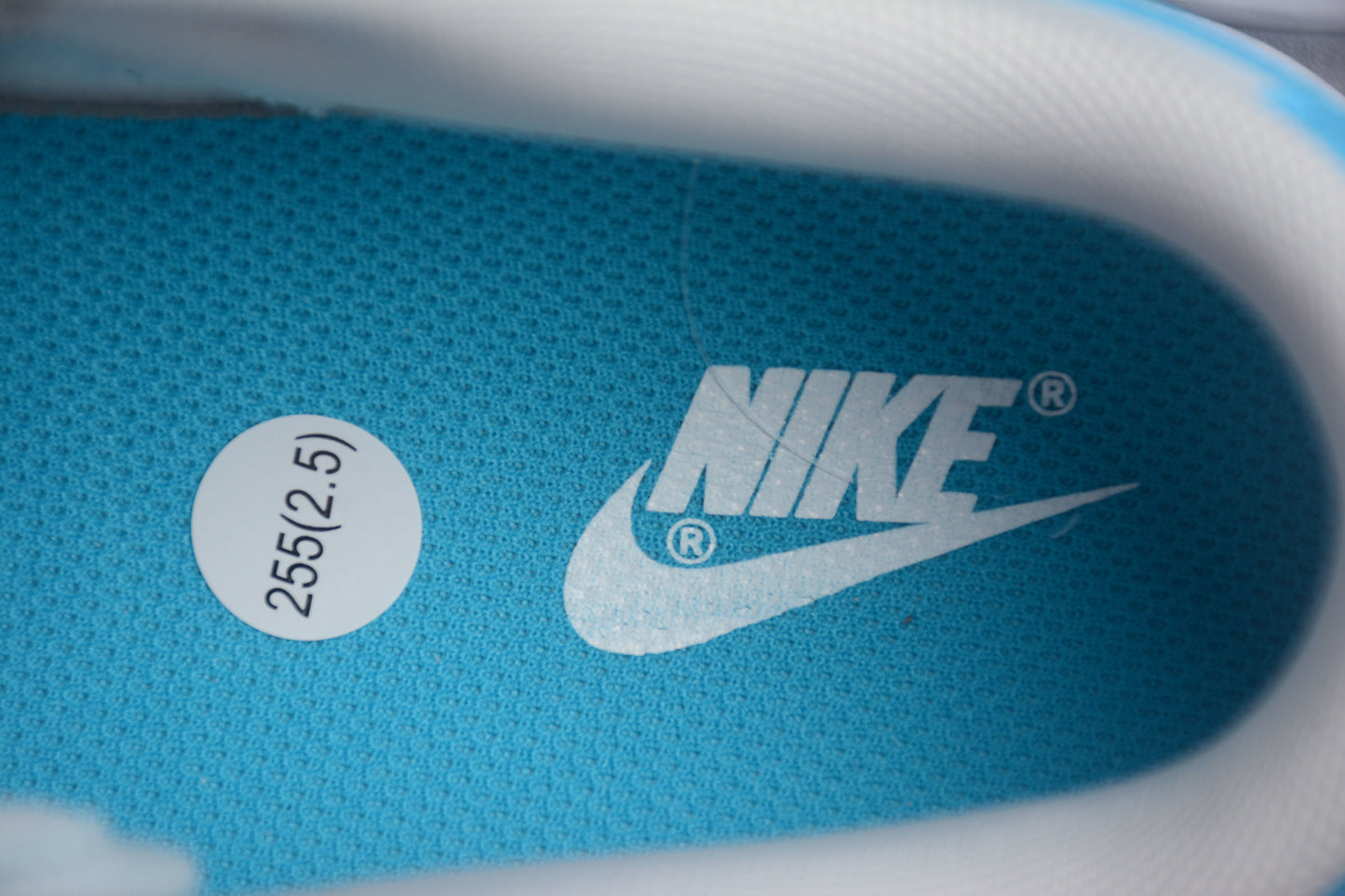 Dunk Low White / Sky Blue