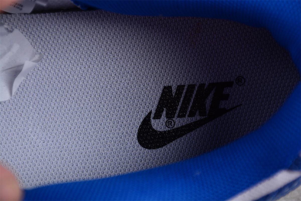 Dunk Low Blue / White